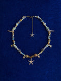 Mariner's Star
